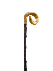 GEDREHTER WIDDERHORNSTOCK RINDENECHT 