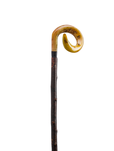 GEDREHTER WIDDERHORNSTOCK RINDENECHT 