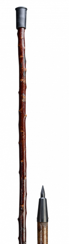 ALPENSTANGE SCHWARZDORN EINTEILIG 