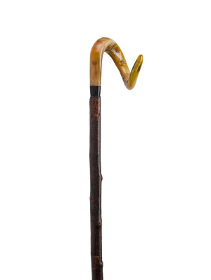 GEDREHTER WIDDERHORNSTOCK RINDENECHT 